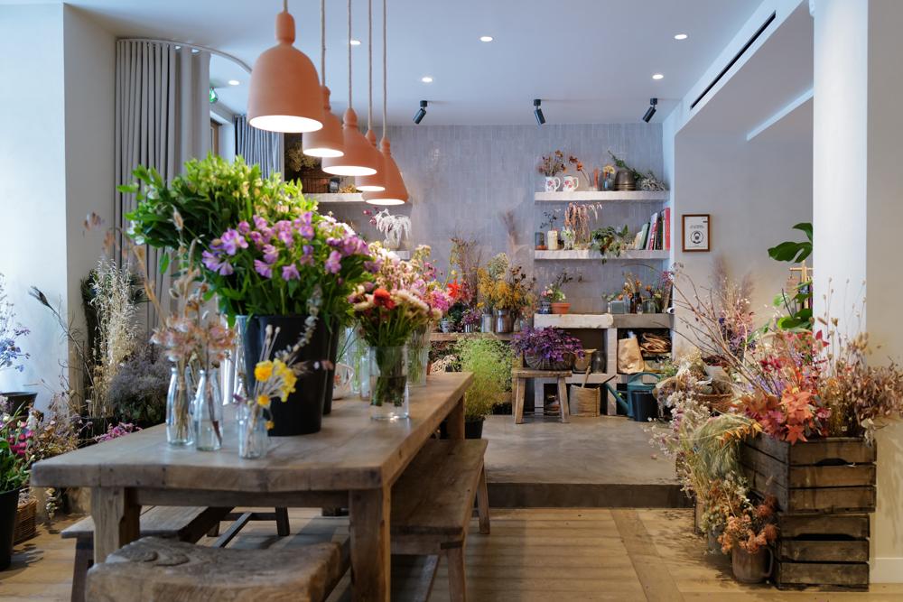 Hoy - Yoga Hotel Paris